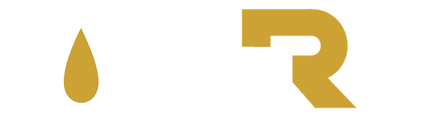 Hamidreza Dinarzehi General Trading logo